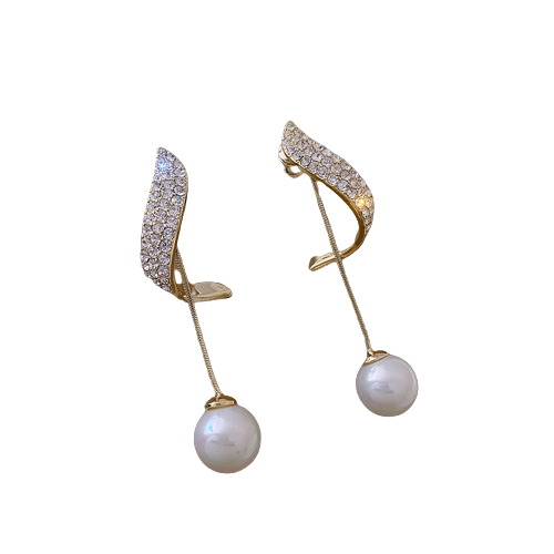 Fashion Secrets Earrings