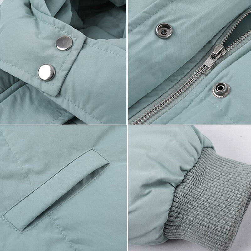 Puffer Down Coat with Hood - Goose Down